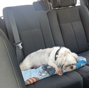 Meet your Posher, Stacy